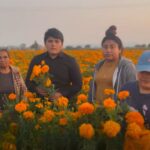 Roberto Morán destaca cumplimiento de los plazos legales en comparecencias 2026 de San Pedro Cholula